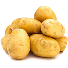 馬鈴薯、烏洋芋良種